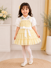 Party wear Frock