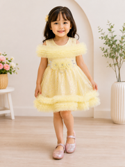 Fryl Fancy Frock
